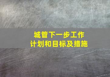 城管下一步工作计划和目标及措施