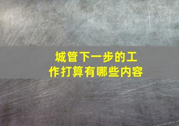 城管下一步的工作打算有哪些内容