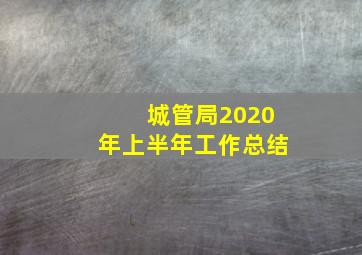 城管局2020年上半年工作总结