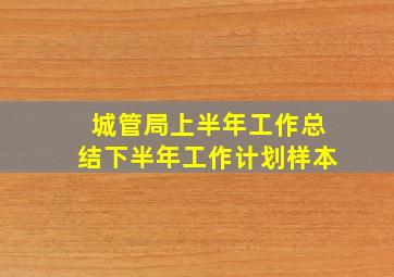 城管局上半年工作总结下半年工作计划样本