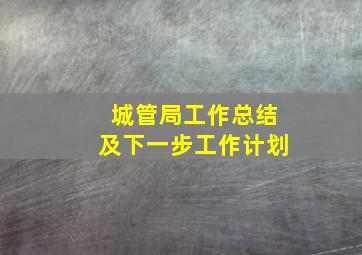 城管局工作总结及下一步工作计划