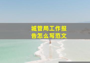 城管局工作报告怎么写范文