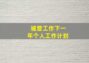 城管工作下一年个人工作计划