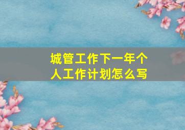 城管工作下一年个人工作计划怎么写