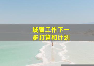 城管工作下一步打算和计划