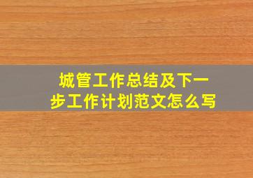 城管工作总结及下一步工作计划范文怎么写