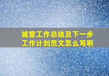 城管工作总结及下一步工作计划范文怎么写啊