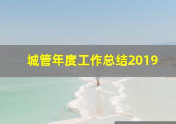 城管年度工作总结2019