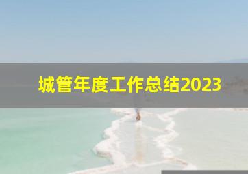 城管年度工作总结2023