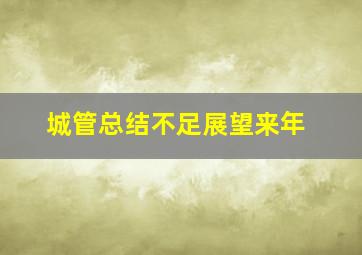 城管总结不足展望来年