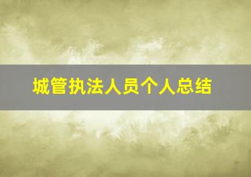 城管执法人员个人总结