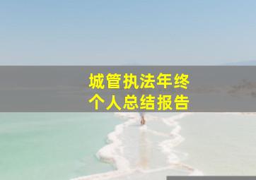 城管执法年终个人总结报告