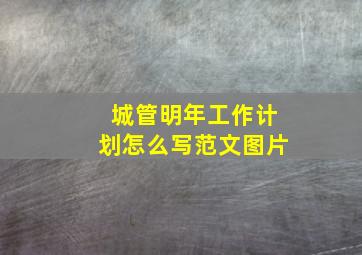 城管明年工作计划怎么写范文图片