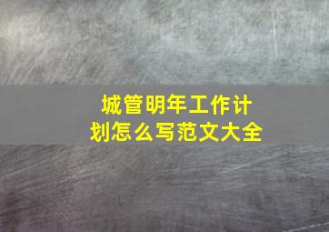 城管明年工作计划怎么写范文大全