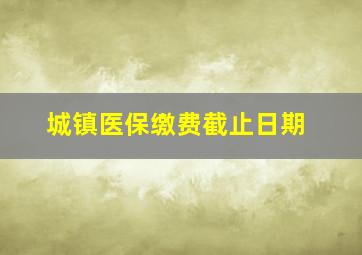 城镇医保缴费截止日期