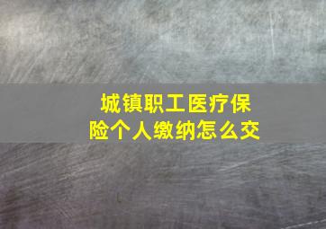 城镇职工医疗保险个人缴纳怎么交