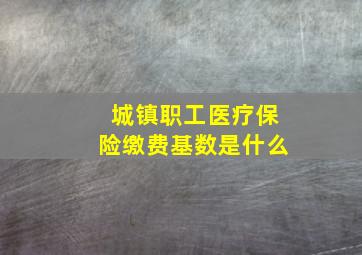 城镇职工医疗保险缴费基数是什么