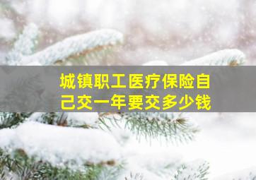 城镇职工医疗保险自己交一年要交多少钱