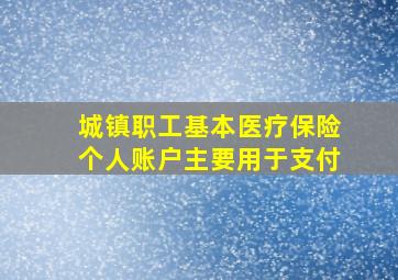 城镇职工基本医疗保险个人账户主要用于支付