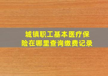 城镇职工基本医疗保险在哪里查询缴费记录