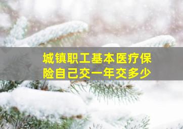 城镇职工基本医疗保险自己交一年交多少