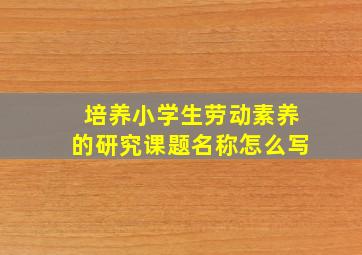 培养小学生劳动素养的研究课题名称怎么写