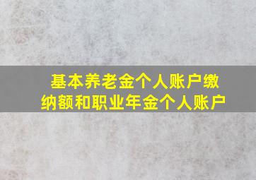 基本养老金个人账户缴纳额和职业年金个人账户