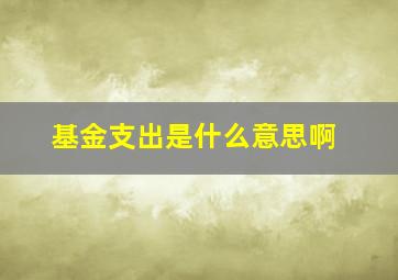 基金支出是什么意思啊