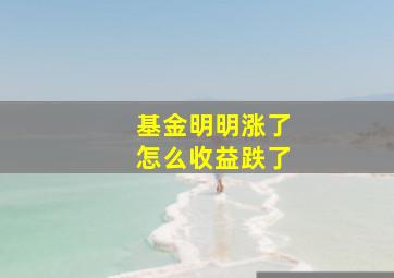 基金明明涨了怎么收益跌了