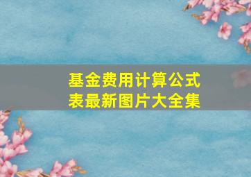 基金费用计算公式表最新图片大全集