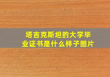 塔吉克斯坦的大学毕业证书是什么样子图片