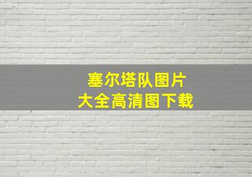 塞尔塔队图片大全高清图下载