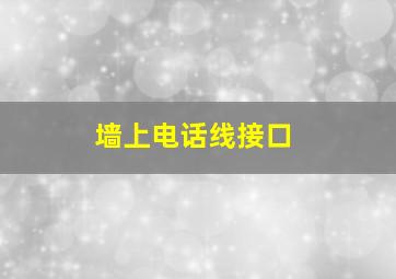 墙上电话线接口