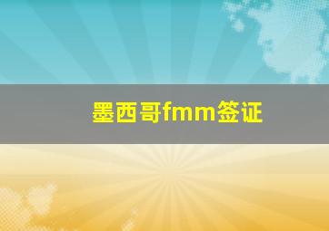 墨西哥fmm签证