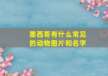 墨西哥有什么常见的动物图片和名字