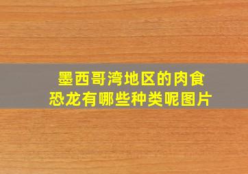 墨西哥湾地区的肉食恐龙有哪些种类呢图片