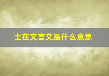 士在文言文是什么意思