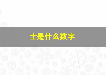 士是什么数字