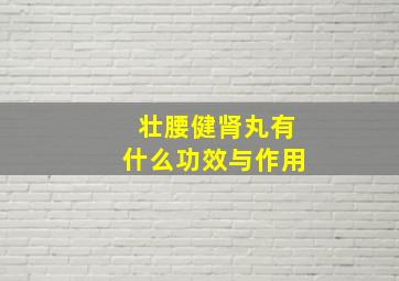 壮腰健肾丸有什么功效与作用