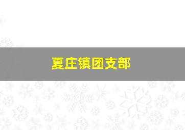 夏庄镇团支部