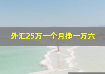 外汇25万一个月挣一万六