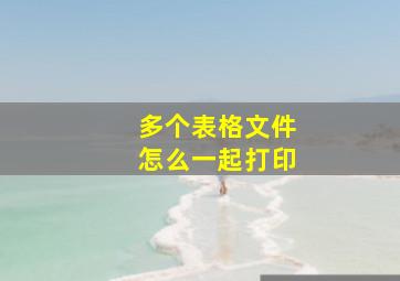 多个表格文件怎么一起打印