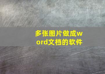 多张图片做成word文档的软件