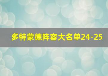 多特蒙德阵容大名单24-25