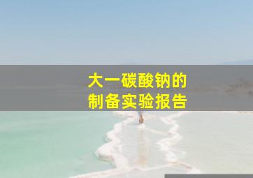 大一碳酸钠的制备实验报告