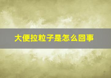 大便拉粒子是怎么回事