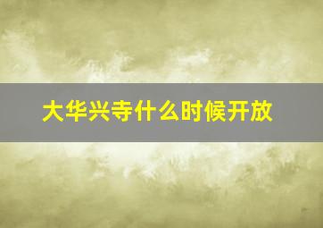 大华兴寺什么时候开放