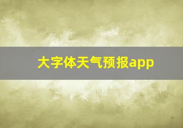 大字体天气预报app