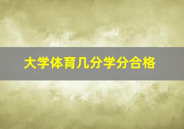 大学体育几分学分合格