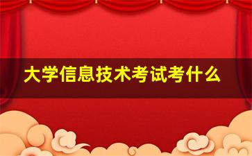 大学信息技术考试考什么